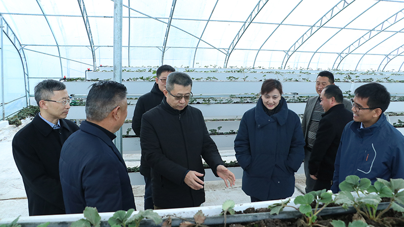 й̫ɼtyc234cc(Macau)ɷ޹˾-Officialwebsite