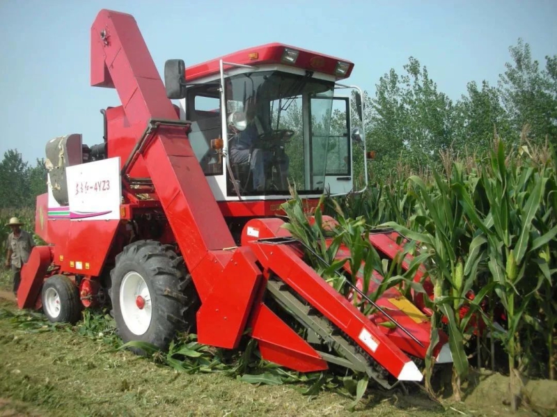 й̫ɼtyc234cc(Macau)ɷ޹˾-Officialwebsite