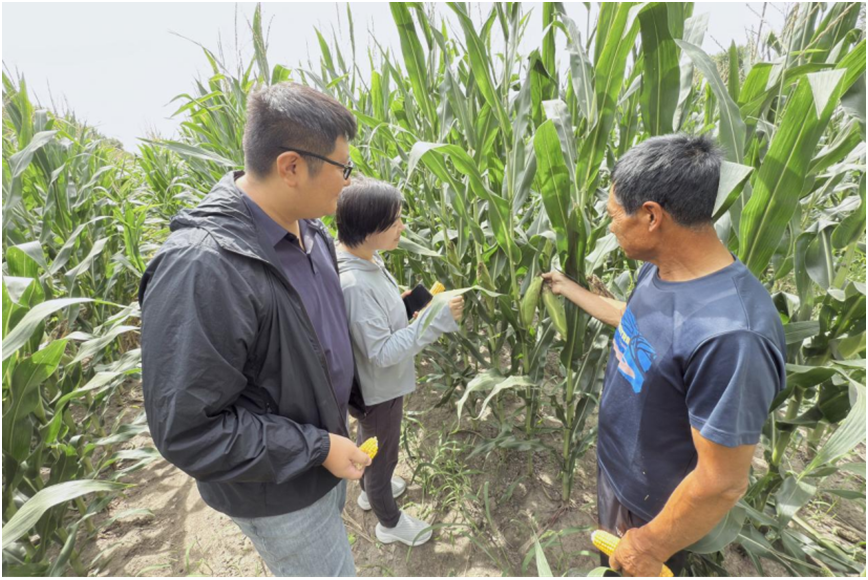 W020251030741266805233 中国·太阳成集团tyc234cc(Macau)股份有限公司-Officialwebsite